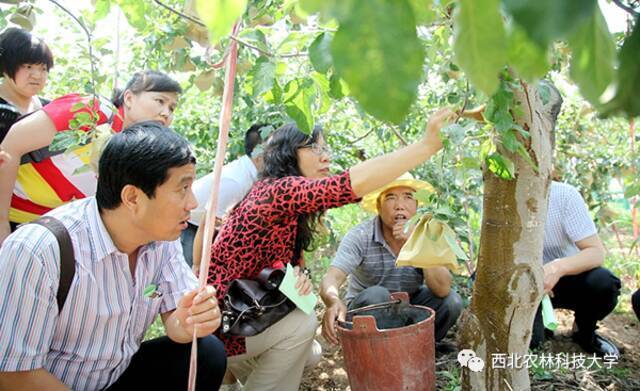 祝贺！黄丽丽教授荣获全国五一劳动奖章！