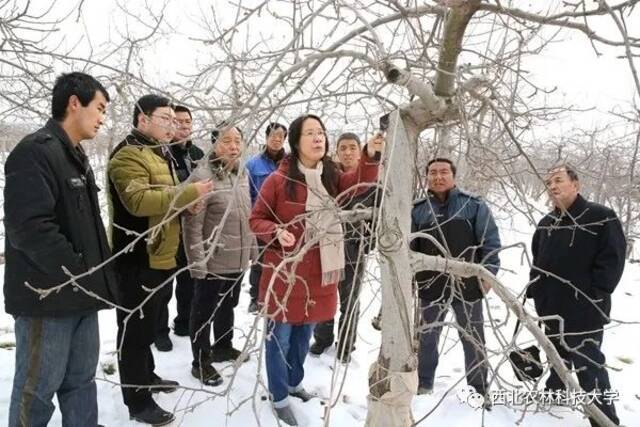 祝贺！黄丽丽教授荣获全国五一劳动奖章！