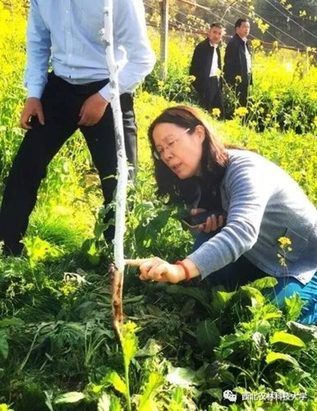 祝贺！黄丽丽教授荣获全国五一劳动奖章！