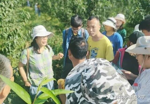 祝贺！黄丽丽教授荣获全国五一劳动奖章！