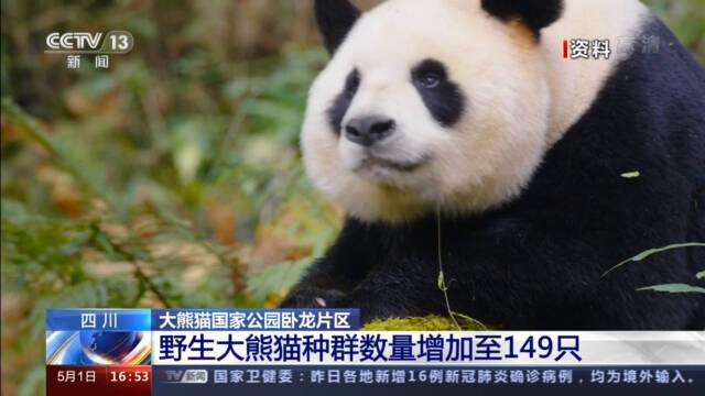 四川卧龙自然保护区有149只野生大熊猫 这个数据是怎么来的？