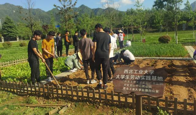 劳动节丨西工大学生从锄地种菜到制作机器人