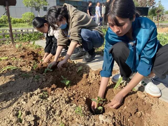 劳动节丨西工大学生从锄地种菜到制作机器人