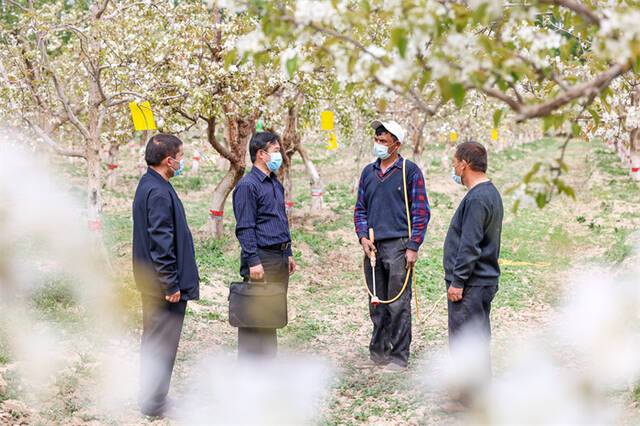 镜头｜紧盯关键节点 纠“四风”树新风