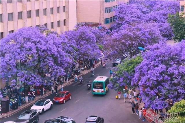 昆明教场中路成热门打卡地毕芃摄