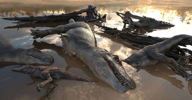 图中描绘着一群溺毙的暴龙与正在捡食尸体的鳄鱼。ILLUSTRATIONBYVICTORLESHYK
