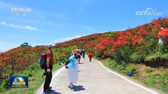 文化和旅游部：“五一”假期全国国内旅游出游共2.3亿人次