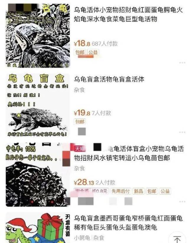 太残忍！上百只猫狗被当盲盒售卖 央视：这是对人性的背离