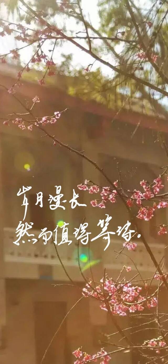 最后30天，相约厦大见！