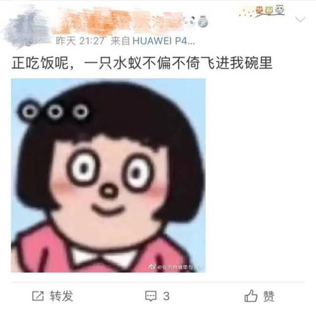 桌子、地板上…密密麻麻！广东突现大量飞虫，深圳也有！专家提醒