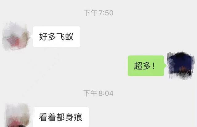 桌子、地板上…密密麻麻！广东突现大量飞虫，深圳也有！专家提醒