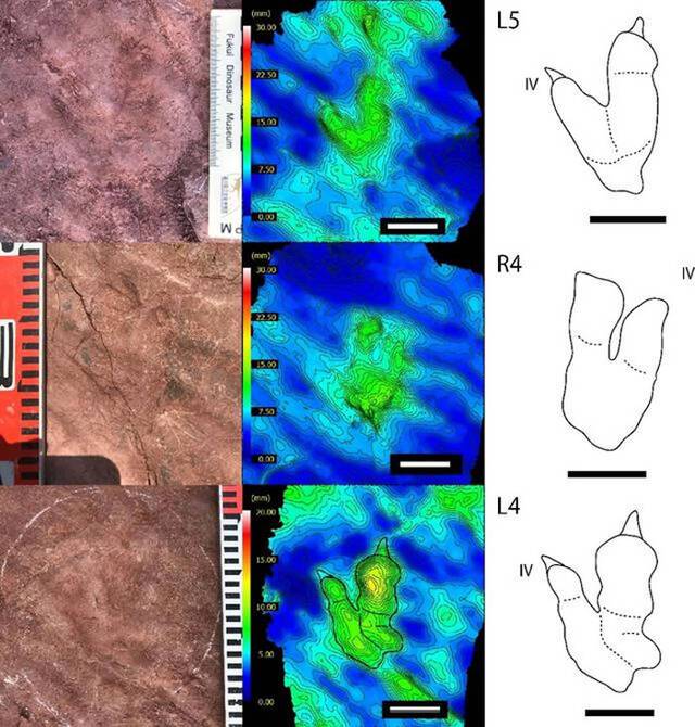 1亿年前晚白垩世早期恐龙留下一串脚印古生物学家测出了它的时速