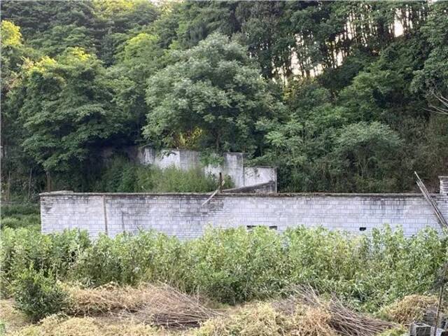 杭州野生动物世界东部一段外墙