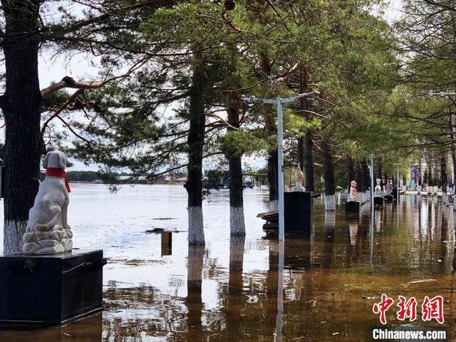 呼玛县江畔公园地面已经被水淹没。王婷摄