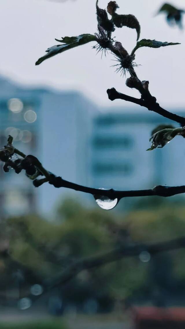 东华理工“雨”你相遇