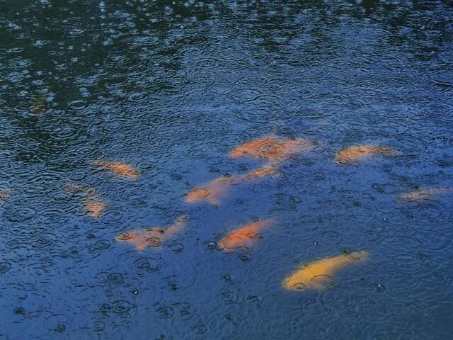 东华理工“雨”你相遇