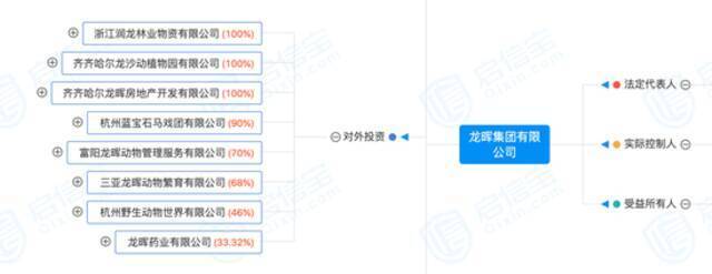 龙晖集团产业布局（来源：启信宝）