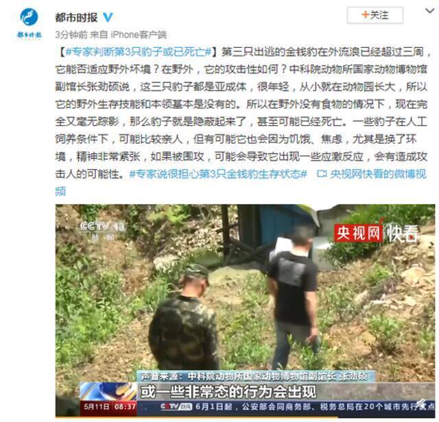 专家判断：杭州第三只出逃的金钱豹或已死亡