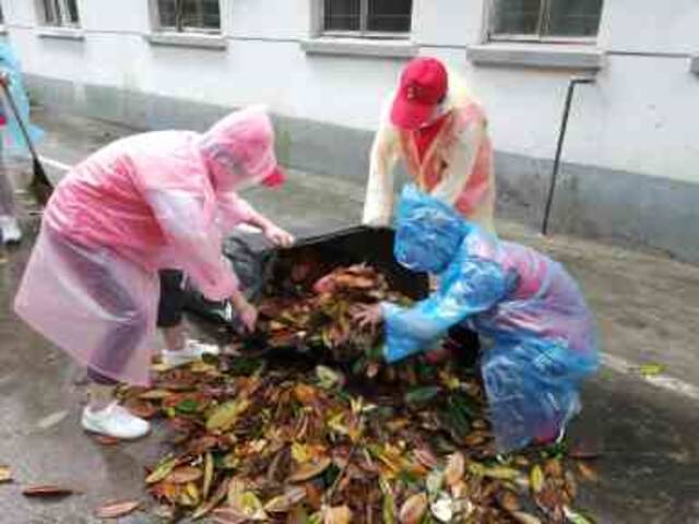 11日早上衢州市气象局“三服务”进社区人员清理被狂风吹落的树叶和掉落的树枝。