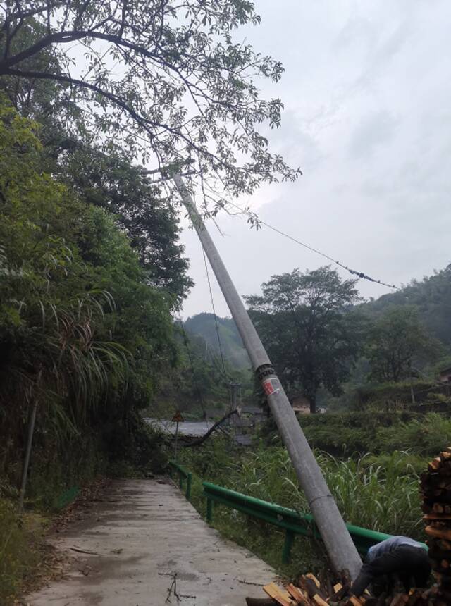 5月10日傍晚，安徽省休宁县出现强对流天气，蓝田镇南塘村路边树枝压倒电线杆。