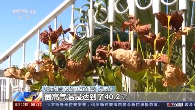 最高气温超40℃！海南多市县发布高温预警