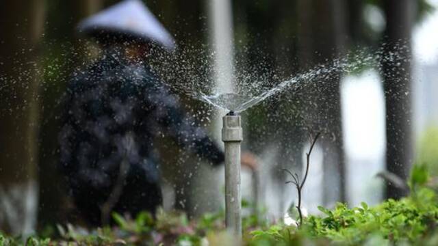 ↑在广西钦州市，一名工人在调节节水型喷灌龙头给道路绿化带浇水（5月11日摄）。