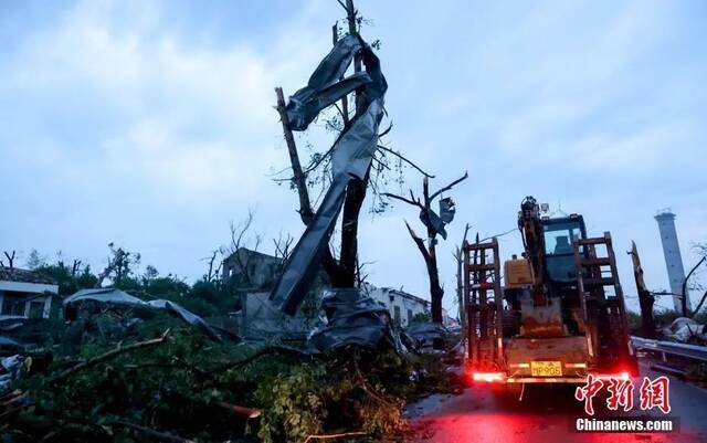 图为吹落的钢板呈“麻花”状缠绕在道路两侧残留的树干上。张畅摄