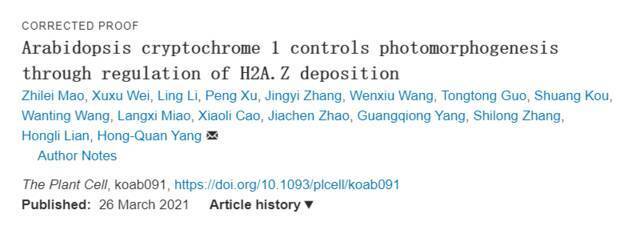 解密植物＂眼睛＂感光机制！上海师大团队在Plant Cell发文