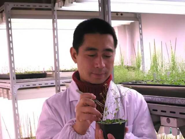 解密植物＂眼睛＂感光机制！上海师大团队在Plant Cell发文