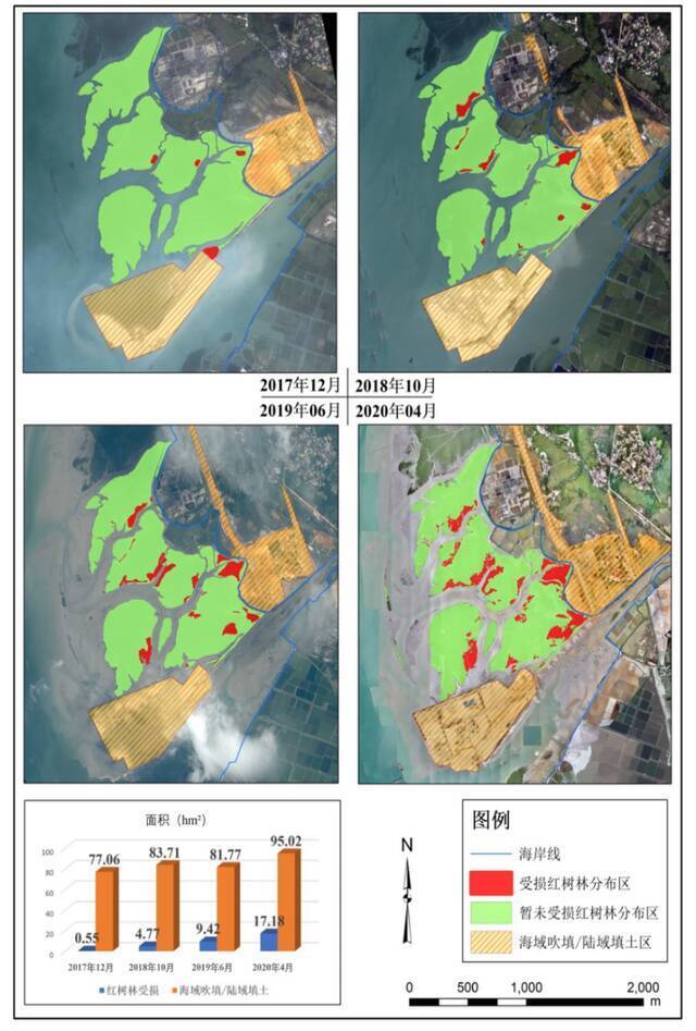 图2 2017年12月—2020年4月榄根作业区红树林受损面积逐年扩大
