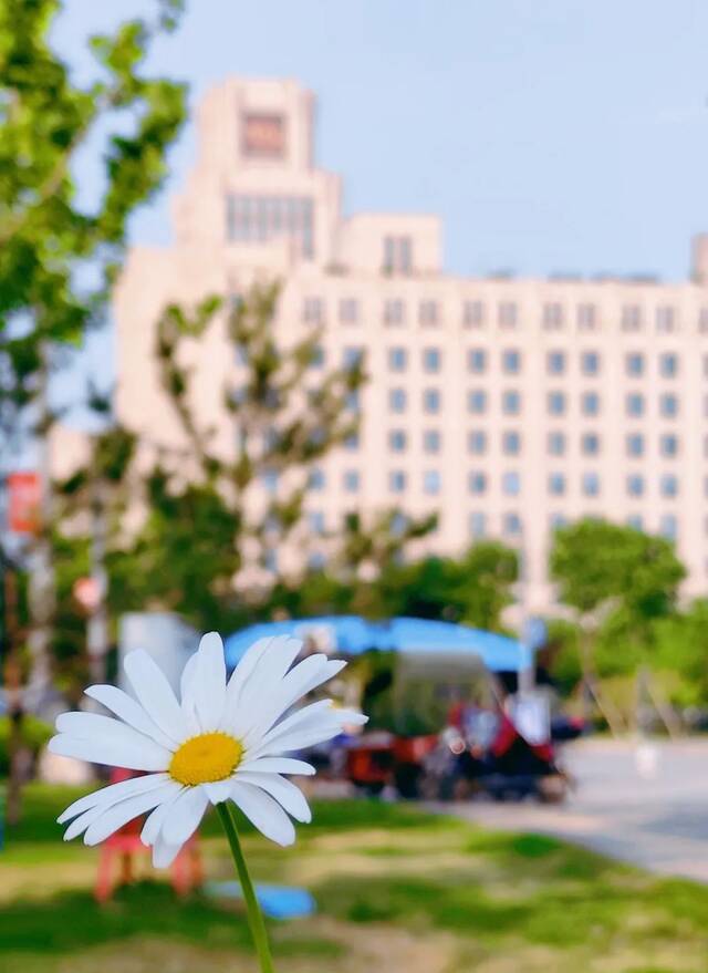 拼搏20天，我要上西安交通大学！