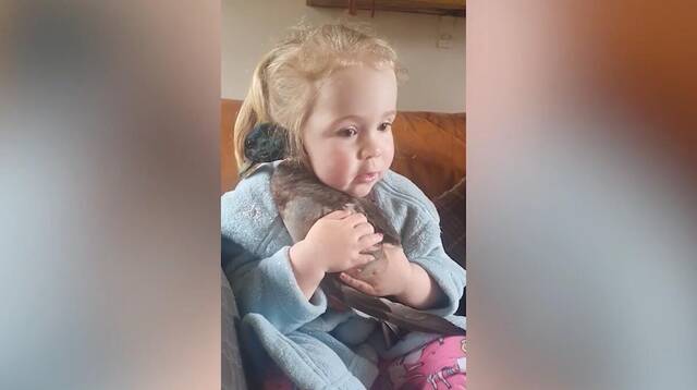 治愈系画面！英国小女孩拥抱鸭子 奶声奶气为它唱歌
