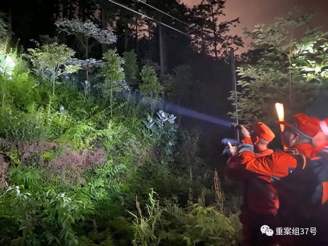 夜间进山的搜寻队，发现任何风吹草动，几束光打在惊动的草丛里，手电筒的强光将小动物逼出来。新京报记者肖薇薇摄