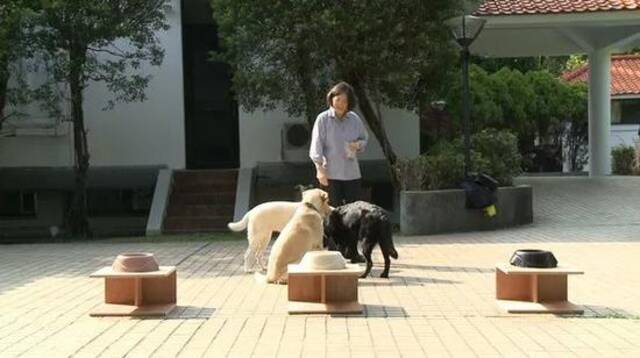 台湾地区领导人在官邸内和宠物犬互动。图源：中视新闻网