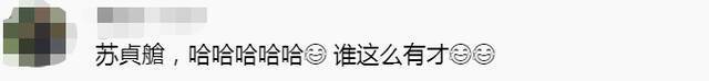 “不喜欢方舱，干脆叫‘苏贞舱’好了！”台湾节目主持人痛批民进党当局