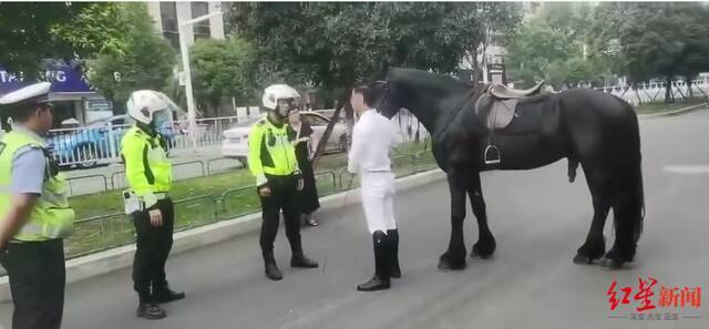 ↑交警将在大街上骑马的男子截停，进行交通安全教育。