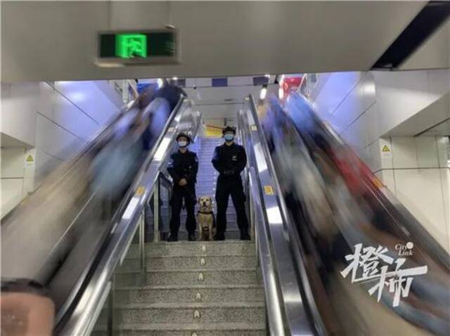 本文图片均来自橙柿