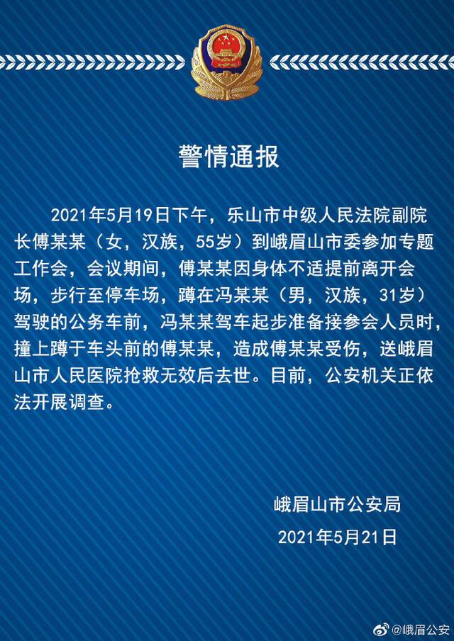 乐山中院一副院长身体不适蹲在公务车前被撞身亡