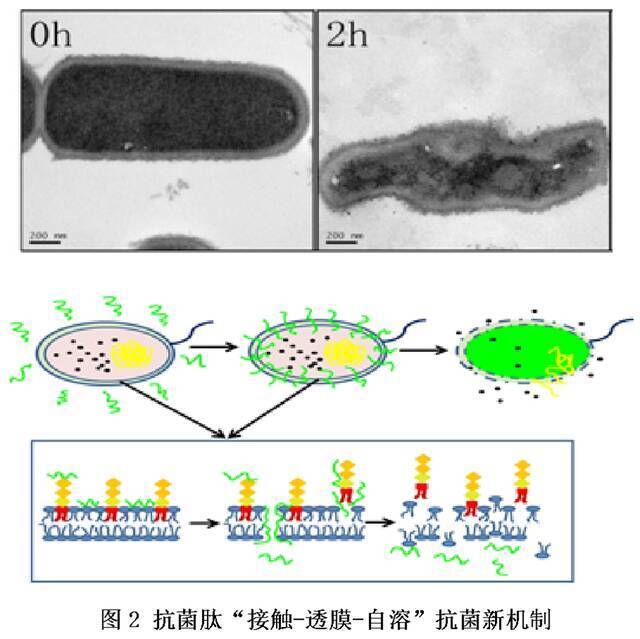 点赞！我校11项成果获2020年度广东省科学技术奖