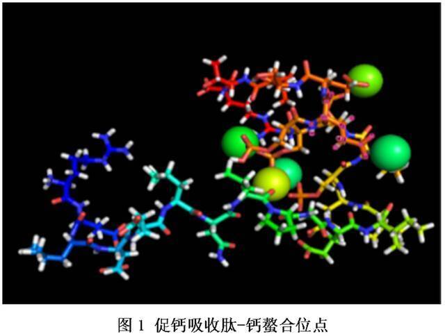 点赞！我校11项成果获2020年度广东省科学技术奖