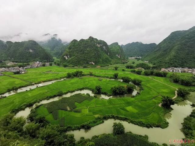 小满时节，雨水充沛，东兰县江平田园绿意沁人，田园肥沃，丰收在望。（东兰县纪委监委韦彩归/摄）