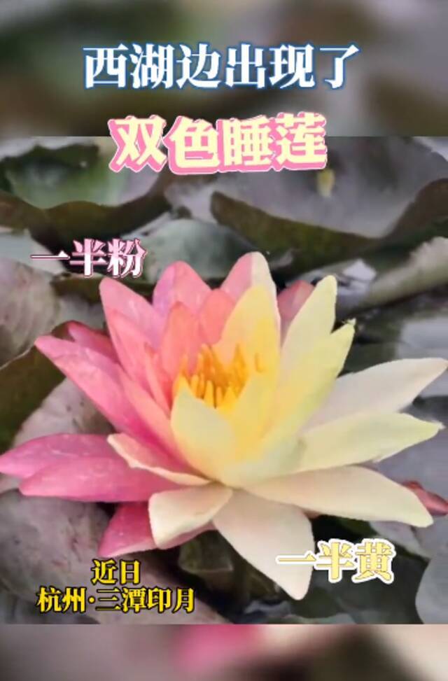 今年高考 河南考生和涉考人员需14天健康监测