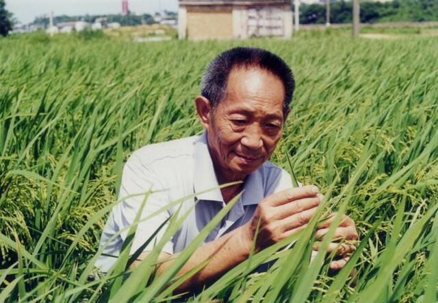 “袁隆平院士去世消息不实”