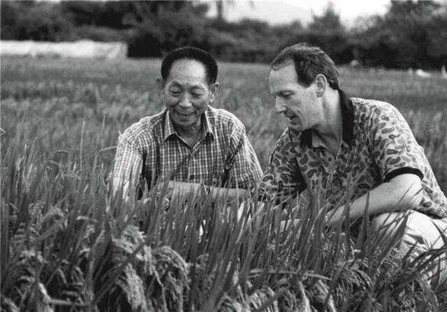 中国“杂交水稻之父”袁隆平和美国水稻专家一起研究超级杂交水稻（视觉中国供图）