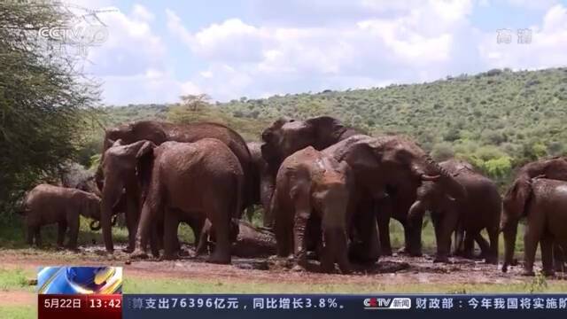 联合国环境官员：人类应平衡生物多样性保护与经济发展