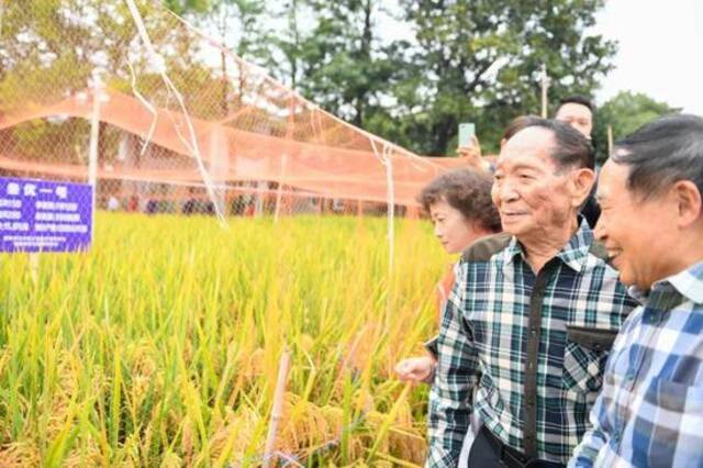 新华社：“从泥土里来，到白云中去”