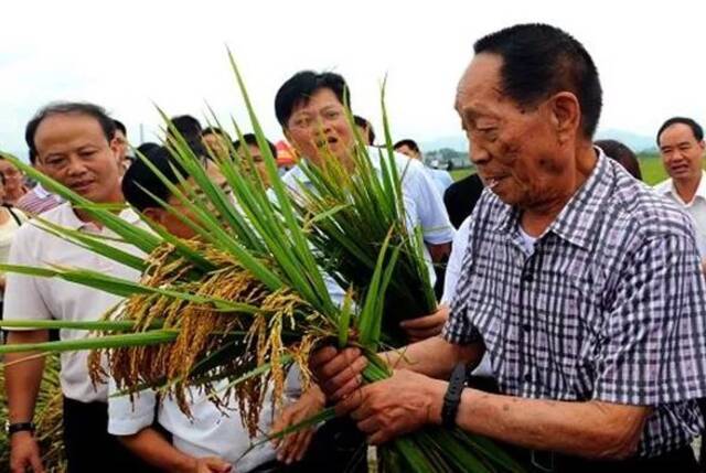 告别袁隆平，云南记得您留下的足迹和深情