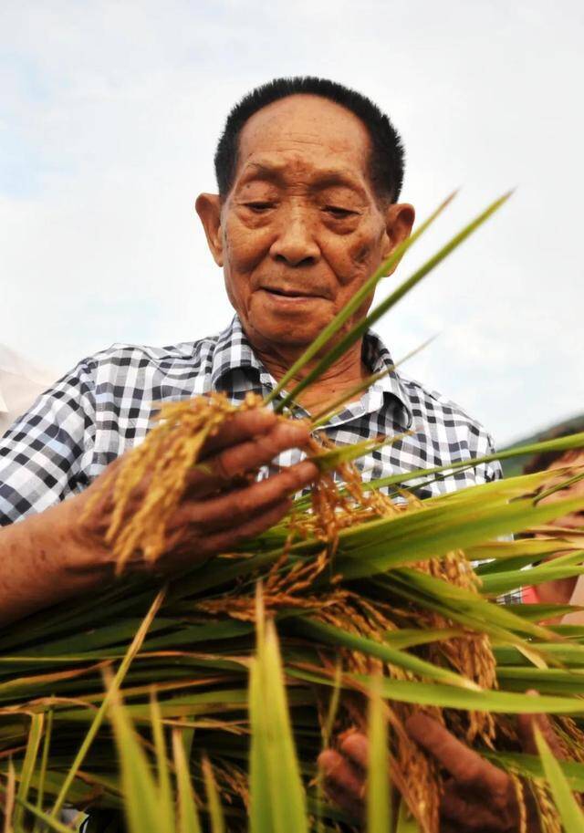 新华社：建议为袁隆平院士逝世降半旗志哀