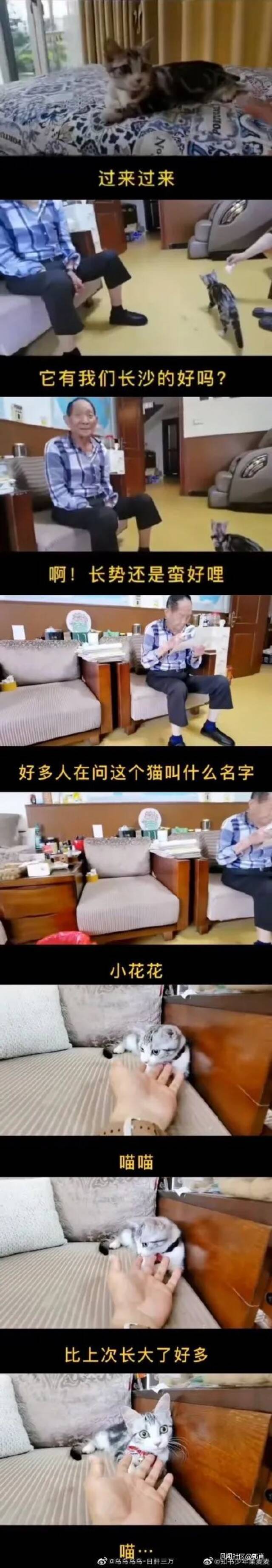 （图自微博网友）