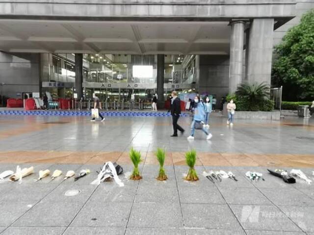 中南大学湘雅医院门口，三棵水稻秧苗格外显眼图片来源：每经记者陈晴摄
